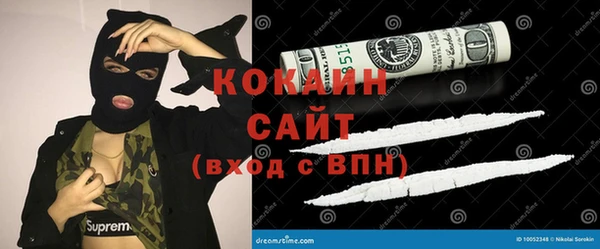 крисы Белокуриха