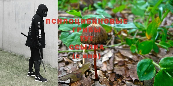 соль ск Саяногорск