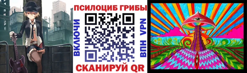 мега маркетплейс  Шуя  Псилоцибиновые грибы GOLDEN TEACHER 